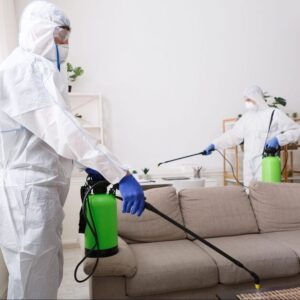 شركة رش الدفان بالاحساء