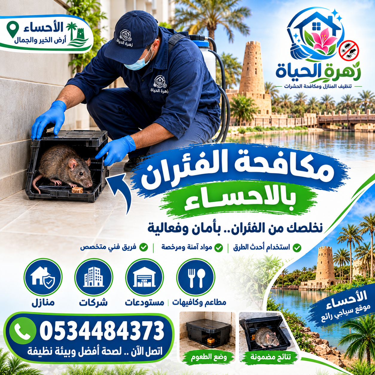 شركة مكافحة الفئران بالاحساء